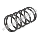 Pin spring cover RMS 121890120