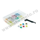 Mini fuses kit RMS 246151040 (100 pieces)