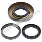 Differential Seal Only Kit All Balls Racing DB25-2012-5