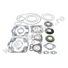 Complete Gasket Kit with Oil Seals WINDEROSA CGKOS 611813