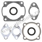 Complete gasket kit with oil seals WINDEROSA CGKOS 711006