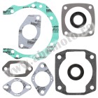 Complete gasket kit with oil seals WINDEROSA CGKOS 711011