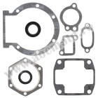 Complete gasket kit with oil seals WINDEROSA CGKOS 711015