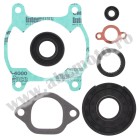 Complete gasket kit with oil seals WINDEROSA CGKOS 711027A