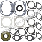 Complete gasket kit with oil seals WINDEROSA CGKOS 711031
