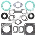 Complete gasket kit with oil seals WINDEROSA CGKOS 711037
