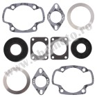 Complete gasket kit with oil seals WINDEROSA CGKOS 711053X