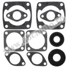 Complete gasket kit with oil seals WINDEROSA CGKOS 711058