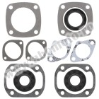 Complete gasket kit with oil seals WINDEROSA CGKOS 711064R