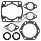 Complete gasket kit with oil seals WINDEROSA CGKOS 711069