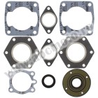 Complete gasket kit with oil seals WINDEROSA CGKOS 711071