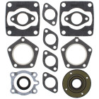 Complete gasket kit with oil seals WINDEROSA CGKOS 711072