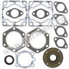 Complete gasket kit with oil seals WINDEROSA CGKOS 711077