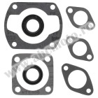 Complete gasket kit with oil seals WINDEROSA CGKOS 711085