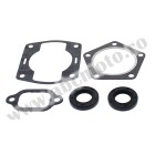 Complete gasket kit with oil seals WINDEROSA CGKOS 711090