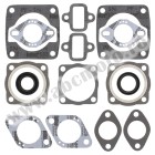 Complete gasket kit with oil seals WINDEROSA CGKOS 711091