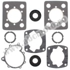 Complete gasket kit with oil seals WINDEROSA CGKOS 711099