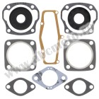 Complete gasket kit with oil seals WINDEROSA CGKOS 711103