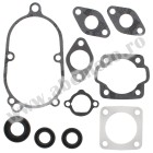 Complete gasket kit with oil seals WINDEROSA CGKOS 711105