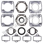 Complete gasket kit with oil seals WINDEROSA CGKOS 711106AE
