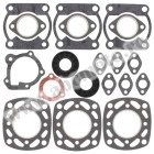 Complete gasket kit with oil seals WINDEROSA CGKOS 711109A