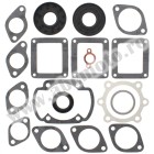 Complete gasket kit with oil seals WINDEROSA CGKOS 711130