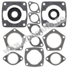 Complete gasket kit with oil seals WINDEROSA CGKOS 711154