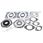 Complete gasket kit with oil seals WINDEROSA CGKOS 711157