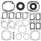 Complete gasket kit with oil seals WINDEROSA CGKOS 711162C