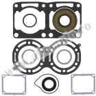 Complete gasket kit with oil seals WINDEROSA CGKOS 711247