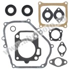 Complete gasket kit with oil seals WINDEROSA CGKOS 711248
