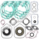 Complete gasket kit with oil seals WINDEROSA CGKOS 711261