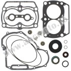 Complete gasket kit with oil seals WINDEROSA CGKOS 711281