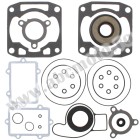 Complete gasket kit with oil seals WINDEROSA CGKOS 711290