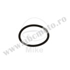 Garnitura O-Ring galerie / flansa admisie ATHENA M752000250084 O-Ring 2X25 mm