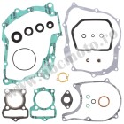 Complete Gasket Kit with Oil Seals WINDEROSA CGKOS 811207