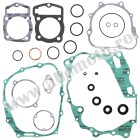 Complete Gasket Kit with Oil Seals WINDEROSA CGKOS 811228