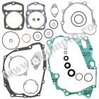 Complete Gasket Kit with Oil Seals WINDEROSA CGKOS 811229