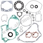 Complete Gasket Kit with Oil Seals WINDEROSA CGKOS 811261