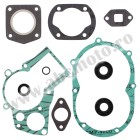 Complete Gasket Kit with Oil Seals WINDEROSA CGKOS 811301