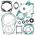 Complete Gasket Kit with Oil Seals WINDEROSA CGKOS 811312