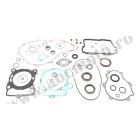 Complete Gasket Kit with Oil Seals WINDEROSA CGKOS 811364