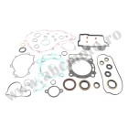Complete Gasket Kit with Oil Seals WINDEROSA CGKOS 811365