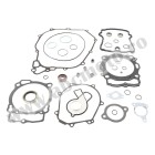 Complete gasket kit with oil seals WINDEROSA CGKOS 811374