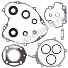 Complete Gasket Kit with Oil Seals WINDEROSA CGKOS 811402