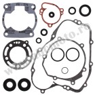 Complete Gasket Kit with Oil Seals WINDEROSA CGKOS 811405