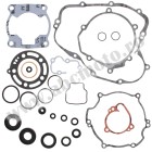 Complete Gasket Kit with Oil Seals WINDEROSA CGKOS 811411