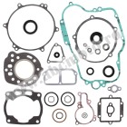 Complete Gasket Kit with Oil Seals WINDEROSA CGKOS 811426