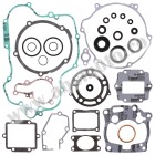 Complete Gasket Kit with Oil Seals WINDEROSA CGKOS 811429