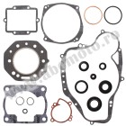 Complete Gasket Kit with Oil Seals WINDEROSA CGKOS 811451